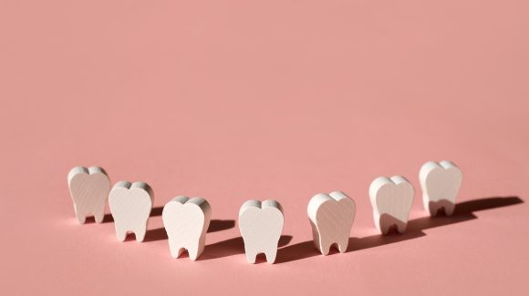 models of teeth standing in a row forming the sha 2022 01 11 01 42 31 utc scaled